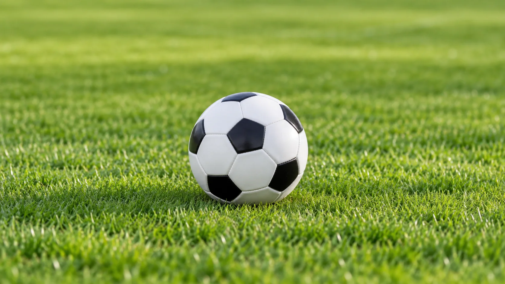 beat365正版